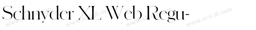 Schnyder XL Web Regu字体转换